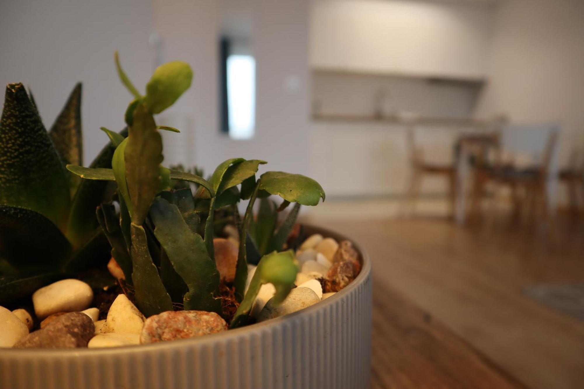 Apartament Na Ptasiej Gdańsk Eksteriør billede